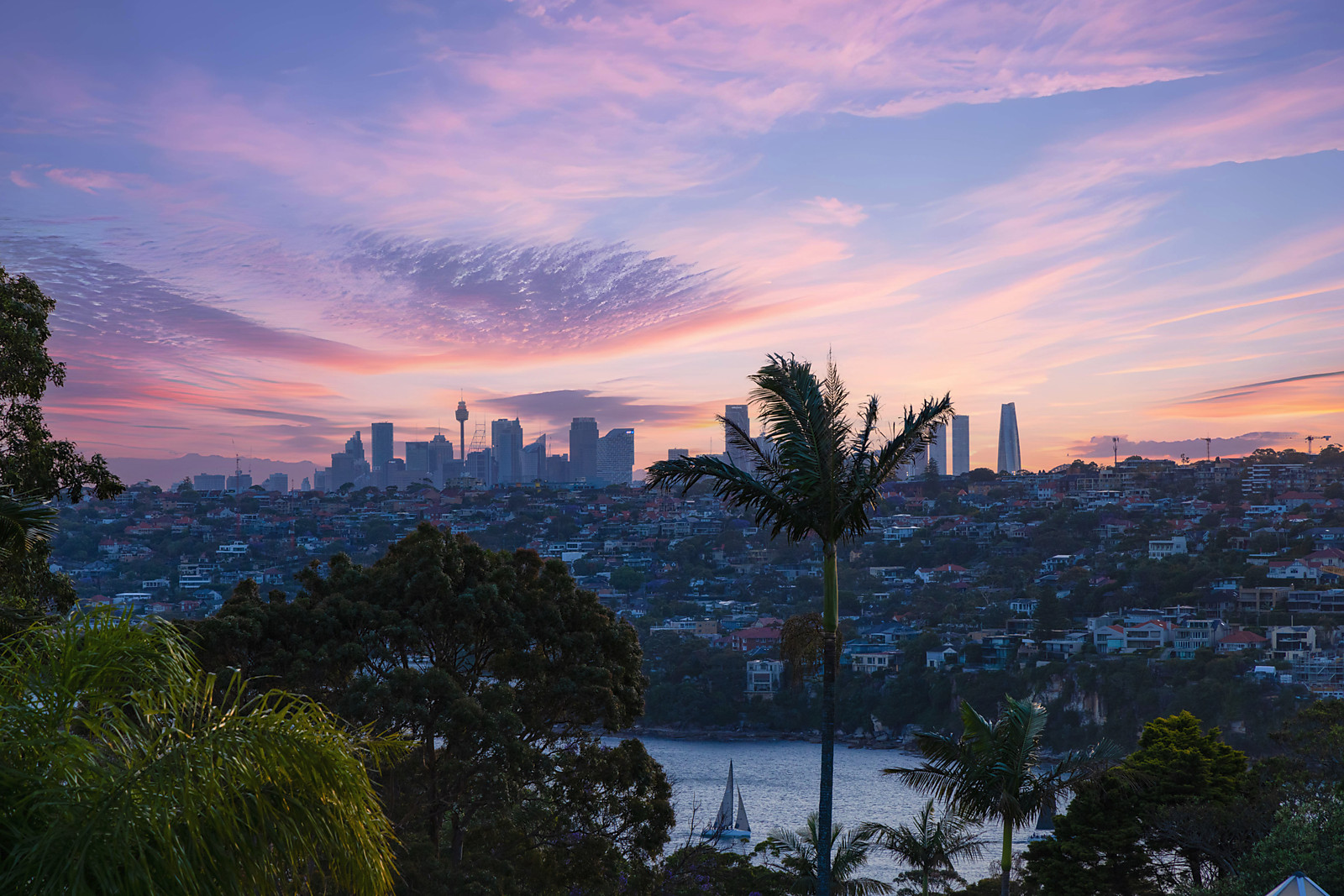 17 Willawa Street, Balgowlah Heights featured